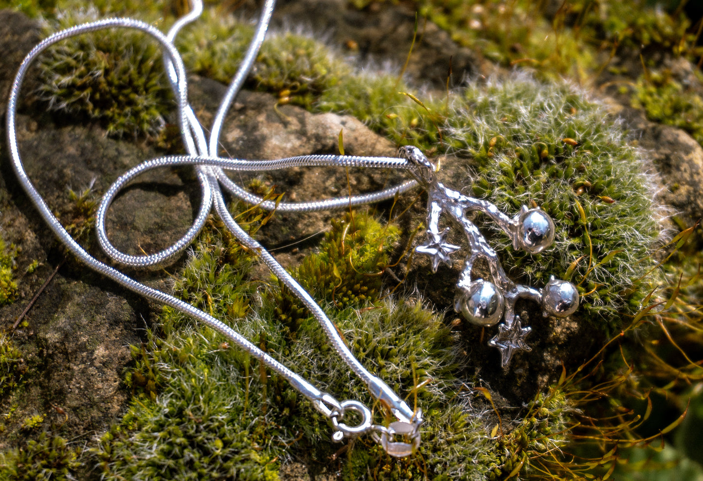 Tomato branch Sterling silver necklace