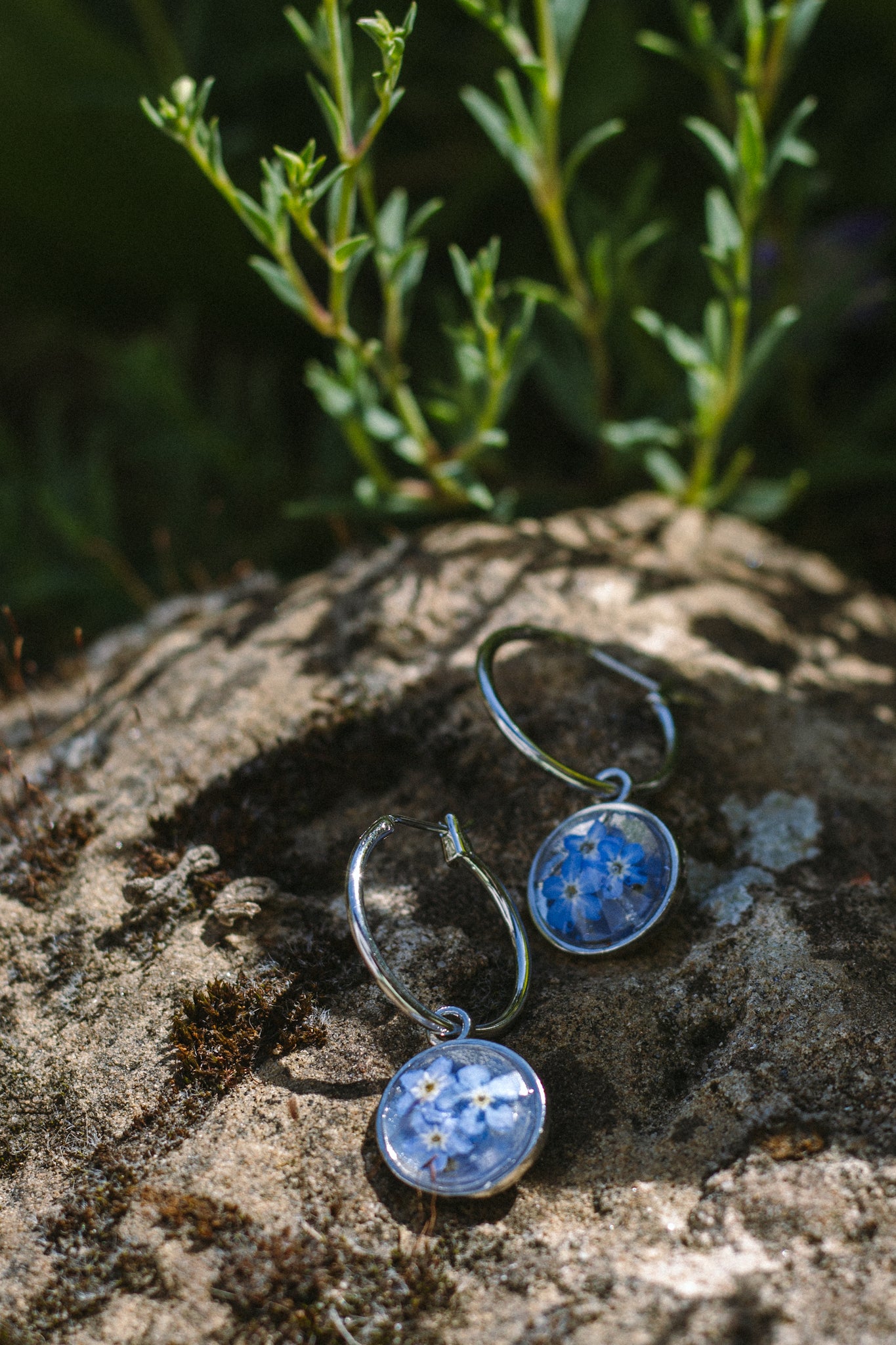 Forget-me-not Silver Earrings