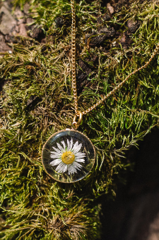 Daisy Flowercharm