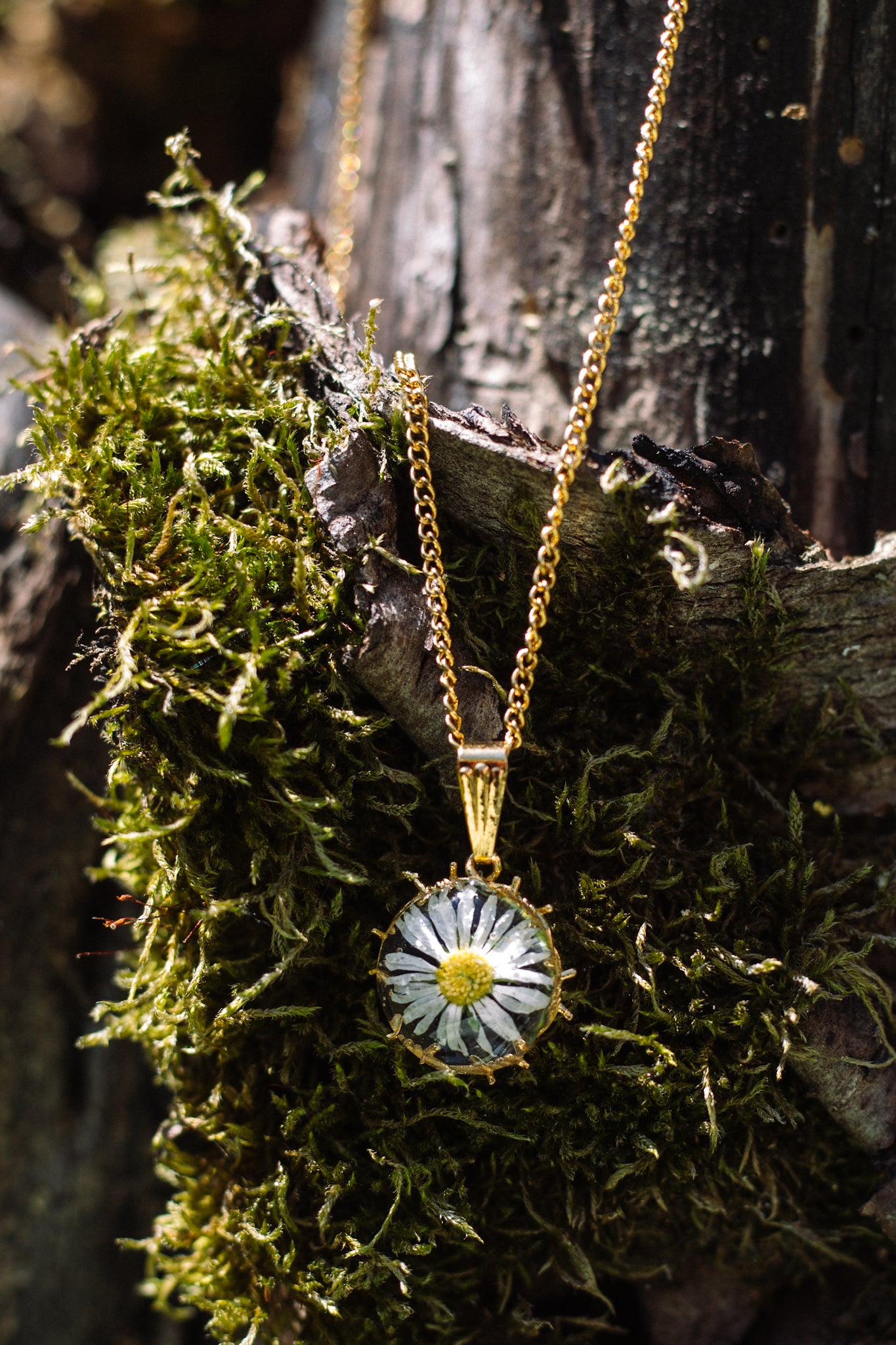 Barbed Daisy Flowercharm
