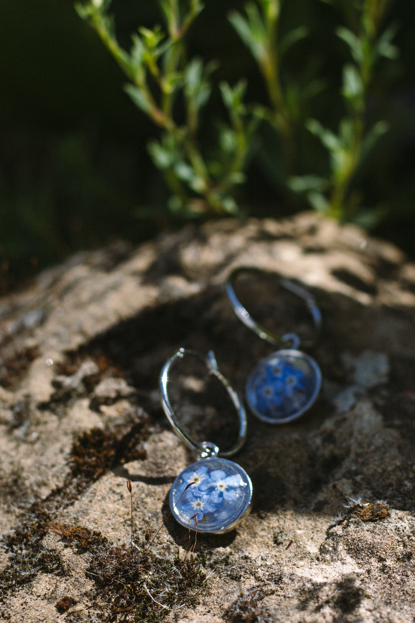 Forget-me-not Silver Earrings
