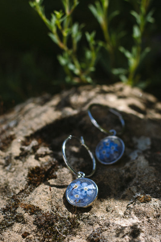 Forget-me-not Silver Earrings